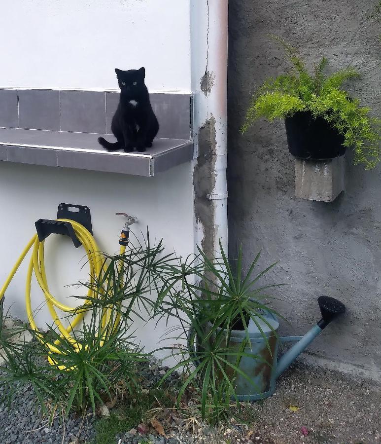 Chambre avec cuisine, SDB&WC semi-privatifs Les Abymes Extérieur photo